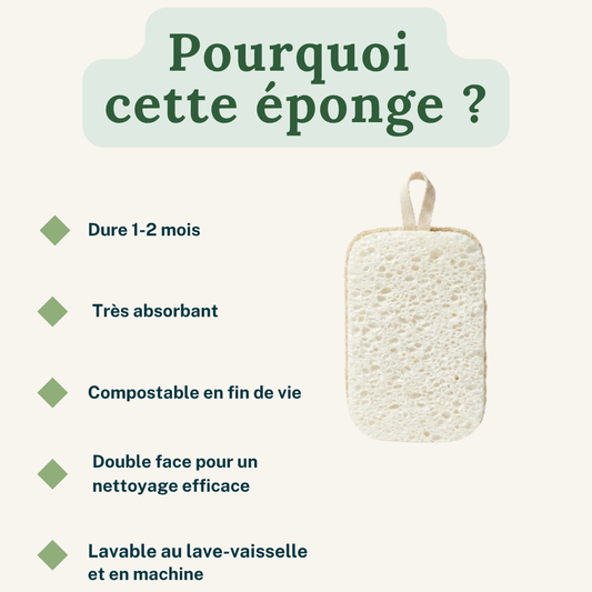 Zeste